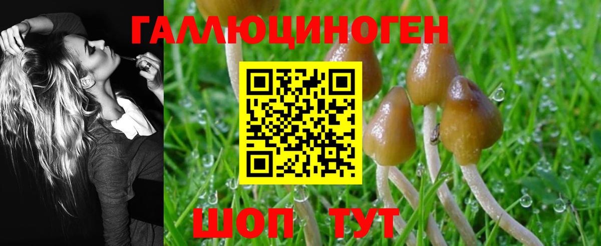 Ярославль  Псилоцибиновые грибы Psilocybine cubensis  Вход с VPN  Псилоцибиновые грибы Magic Shrooms 